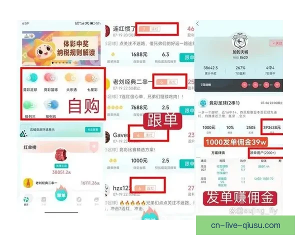 聚焦体彩足球直播畅享赛事解析投注技巧与实时互动精彩内容全面呈现
